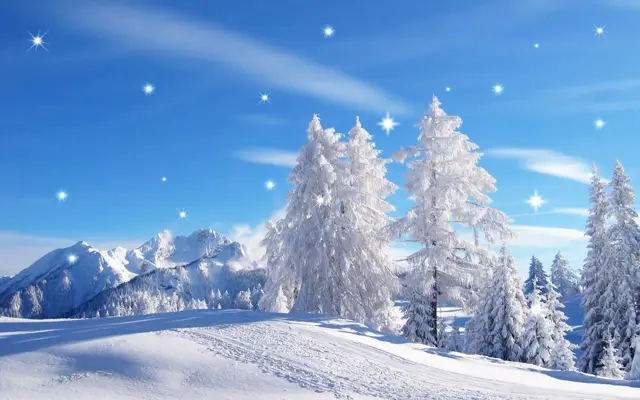 Winter Live Wallpaper android App screenshot 1