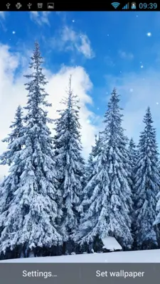 Winter Live Wallpaper android App screenshot 2